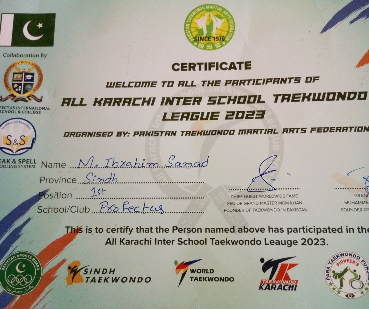 Gold Medalist Taekwondo - 2